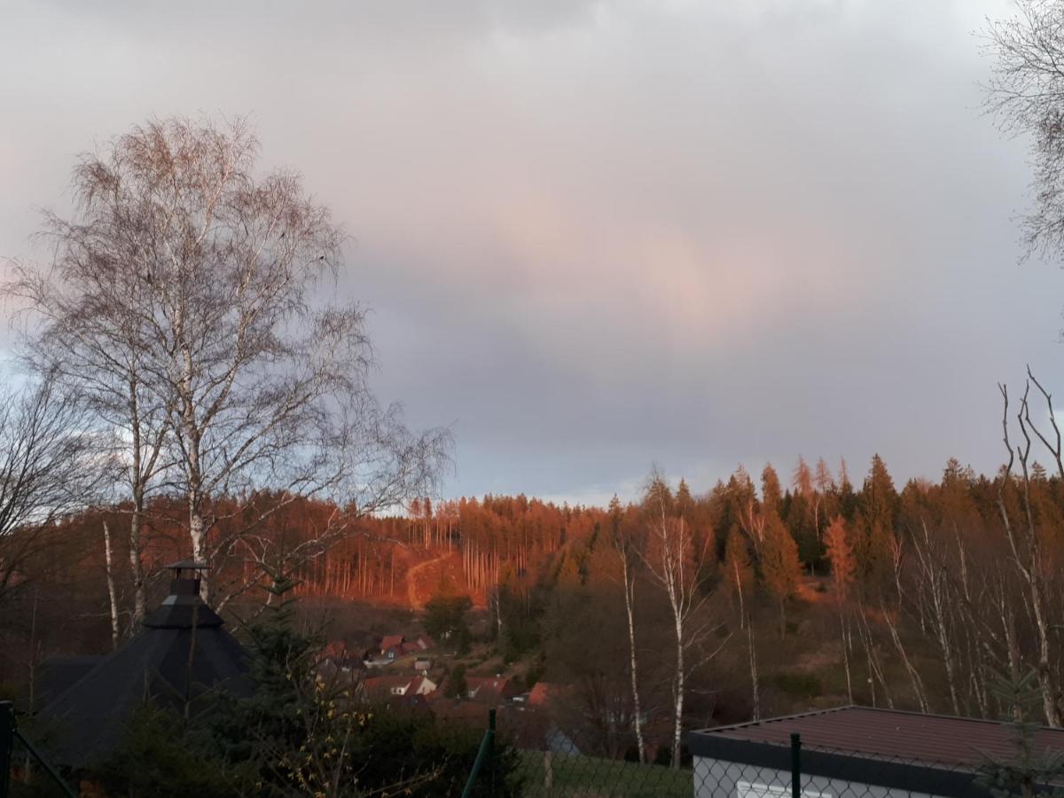Behagliches Ferienhaus Zaunkoenig -Mit Kamin Und Sauna Tanne Exterior photo